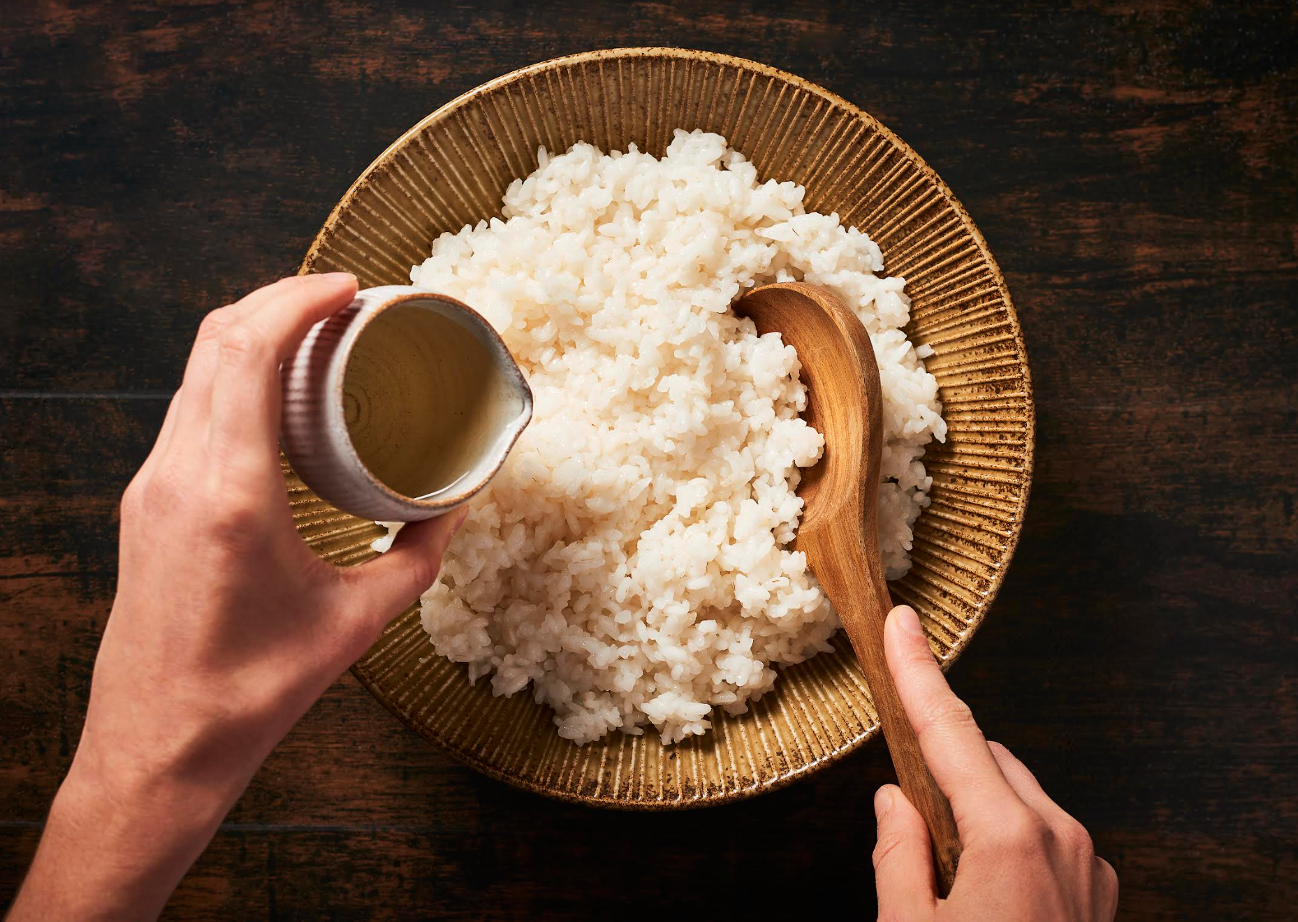 Tout savoir sur le riz