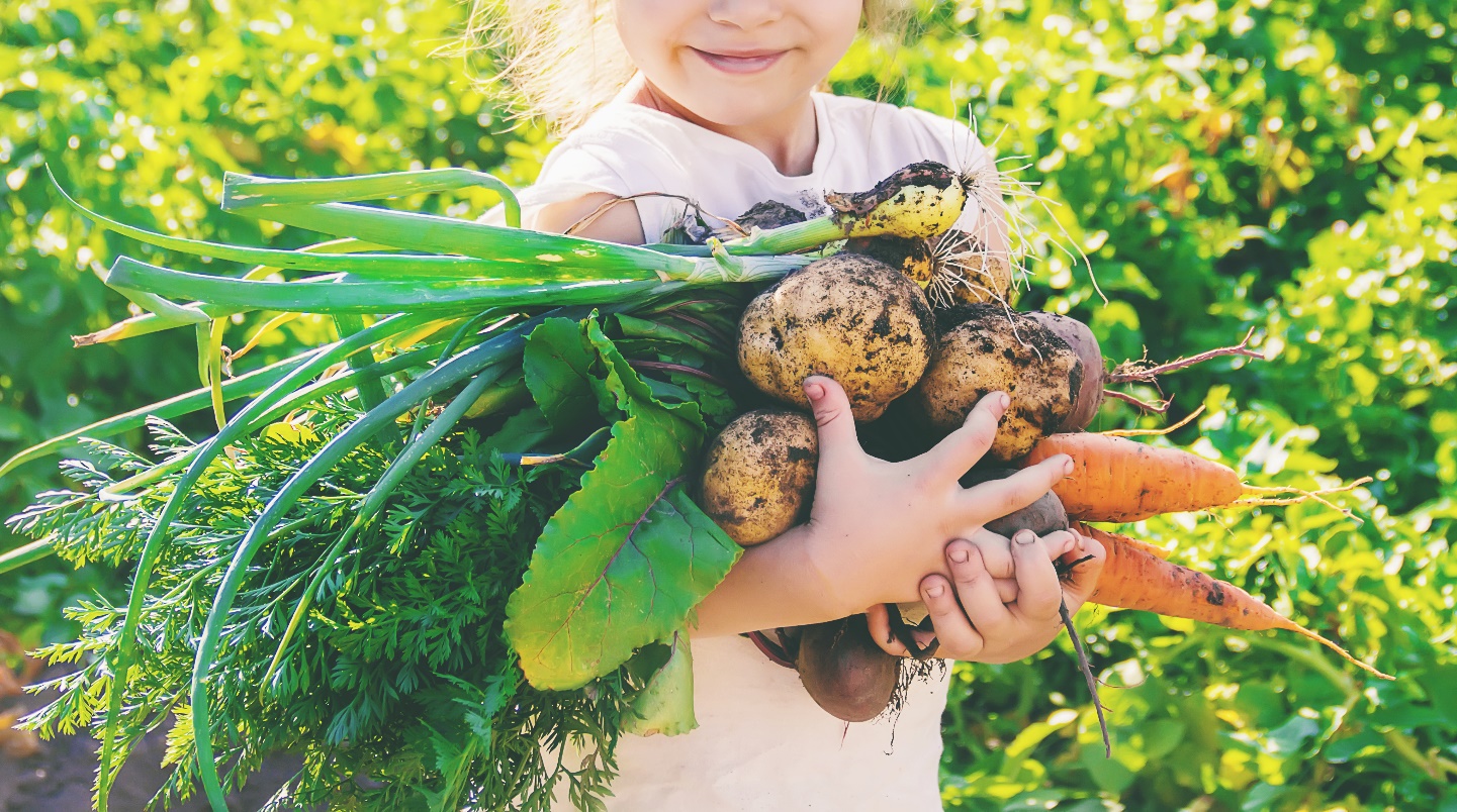 « Jeune Pousse Responsable » : éduquer les enfants à l’alimentation durable