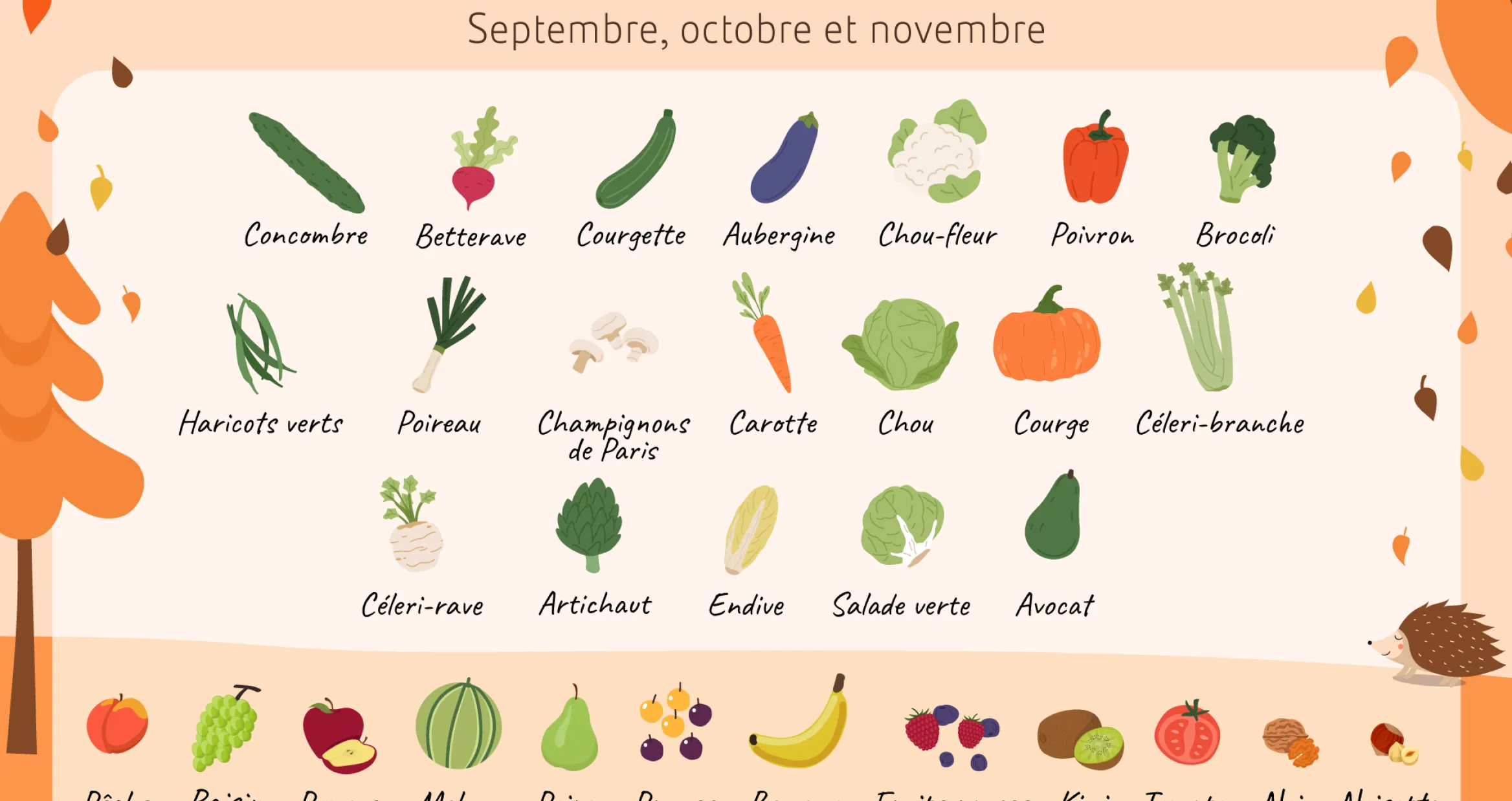 Calendrier des fruits et légumes d'automne