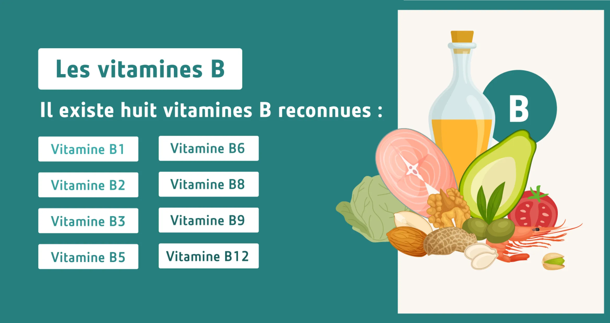 Les vitamines B