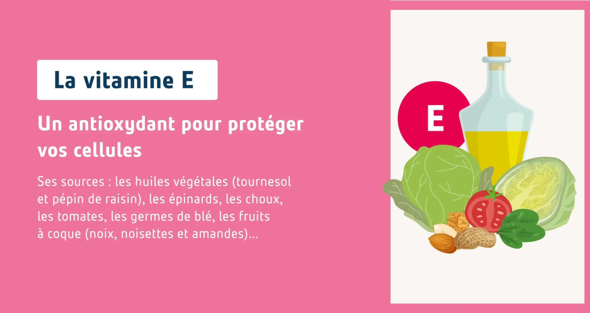 La vitamine E