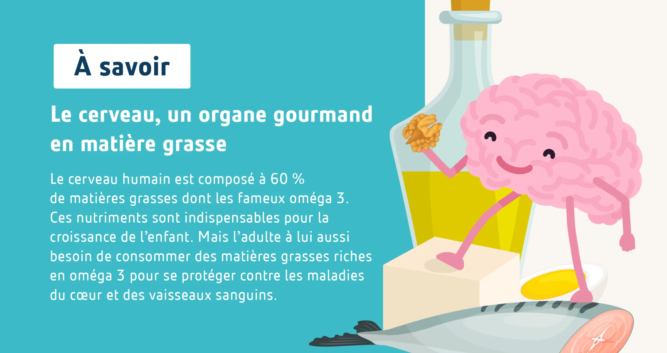 Le cerveau, un organe gourmand en matière grasse