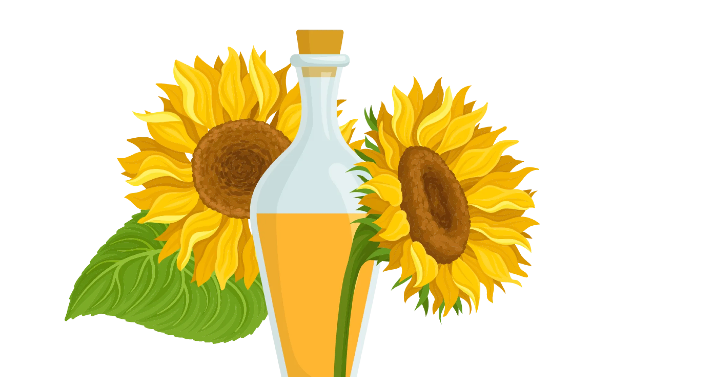 L’huile de tournesol