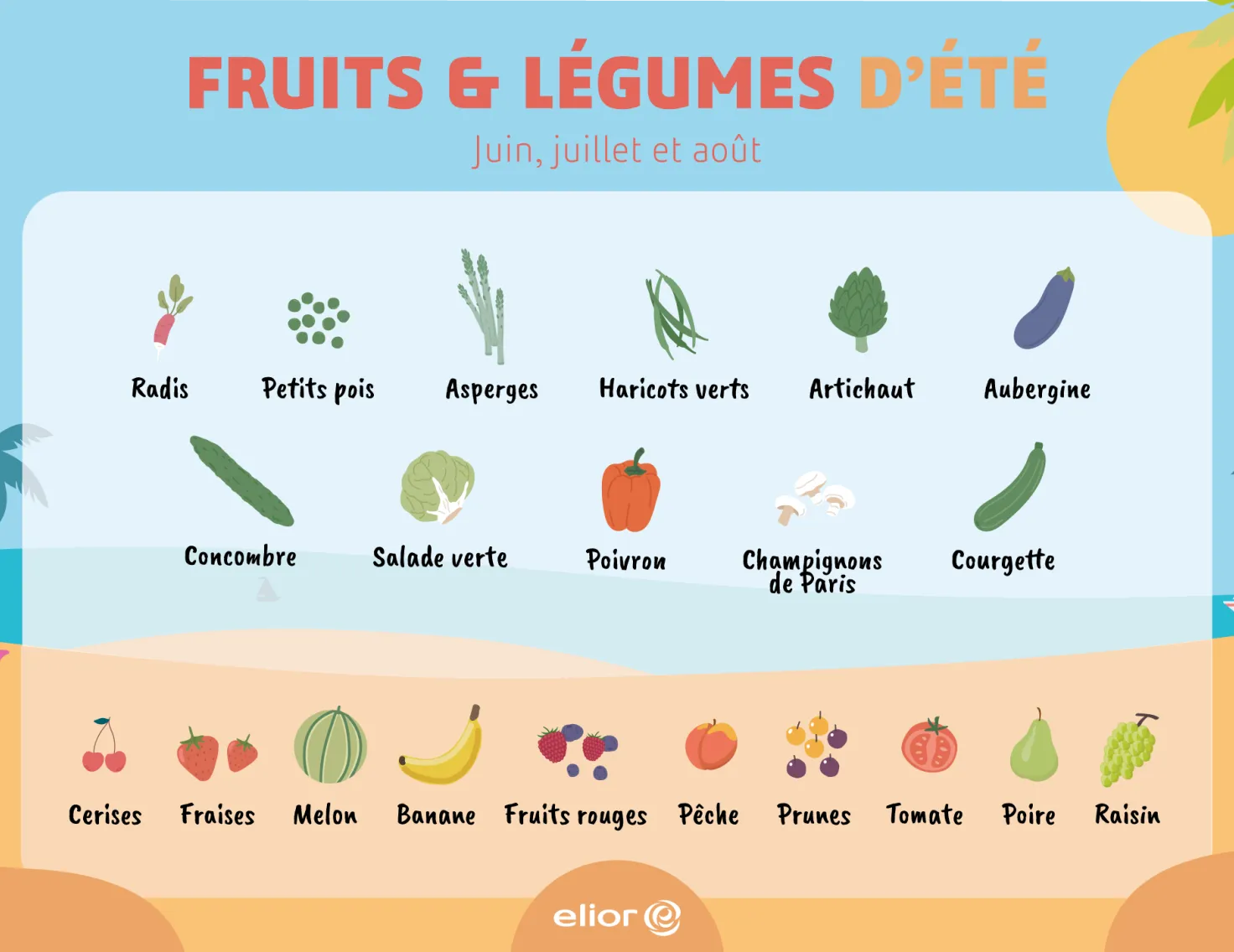 Les fruits et légumes de l'été : radis, petit pois, asperge, salade verte, artichaut, aubergine, concombre, haricot vert, poivron, champignon, courgette, cerise, fraise, melon, banane, fruits rouges, pêche, prune, tomate, poire, raisin.