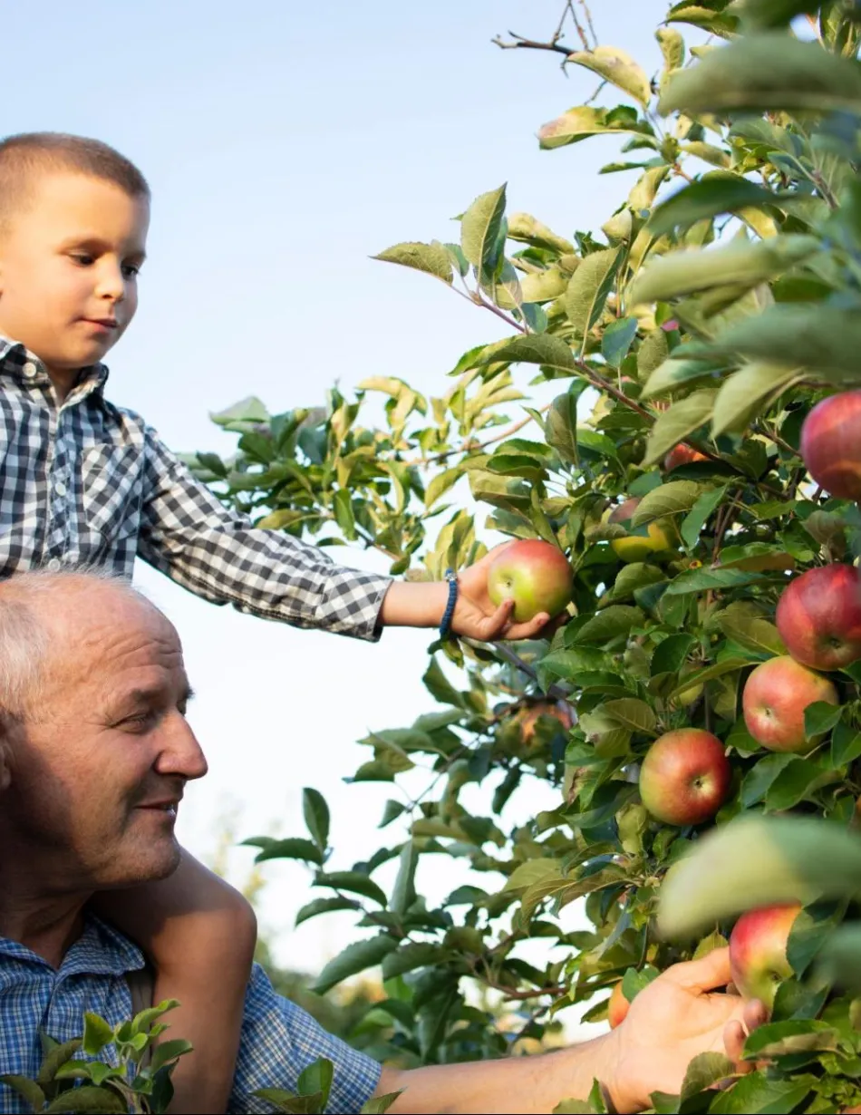 Pourquoi manger des fruits et légumes de saison