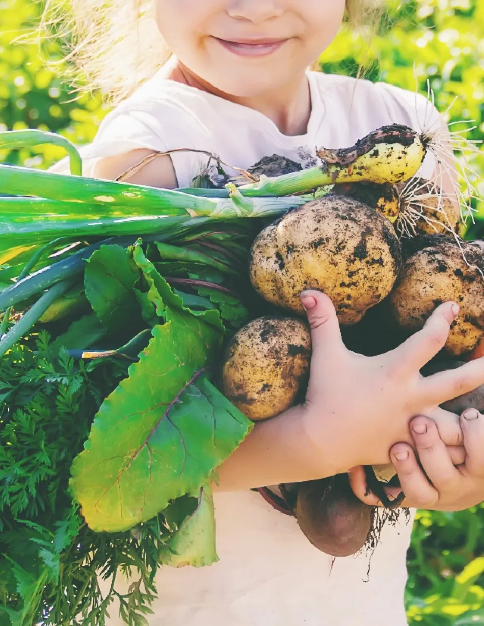 « Jeune Pousse Responsable » : éduquer les enfants à l’alimentation durable