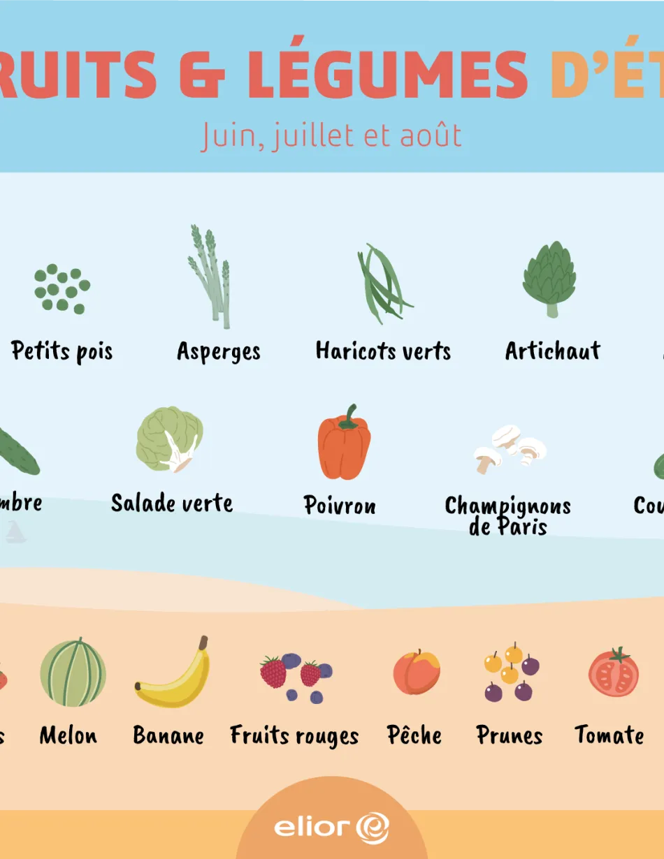 Les fruits et légumes de l'été : radis, petit pois, asperge, salade verte, artichaut, aubergine, concombre, haricot vert, poivron, champignon, courgette, cerise, fraise, melon, banane, fruits rouges, pêche, prune, tomate, poire, raisin.