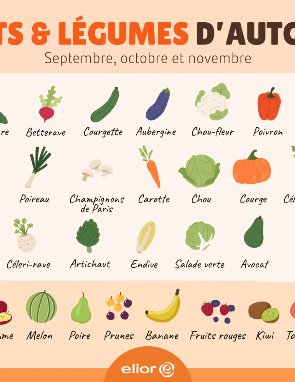 Les fruits et légumes d'automne : concombre, betterave, courgette, aubergine, chou-fleur, poivron, brocoli, haricots verts, poireau, champignons, carotte, chou, courge, céleri-branche, céleri-rave, artichaut, endive, salade, avocat, pêche, raisin, pomme, melon, poire, prune, banane, fruits rouges, kiwi, tomate et noix