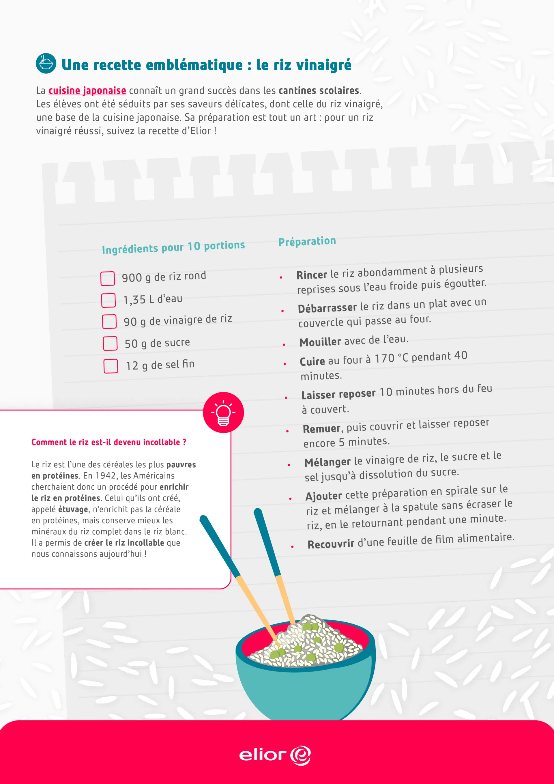 Tout savoir sur le riz