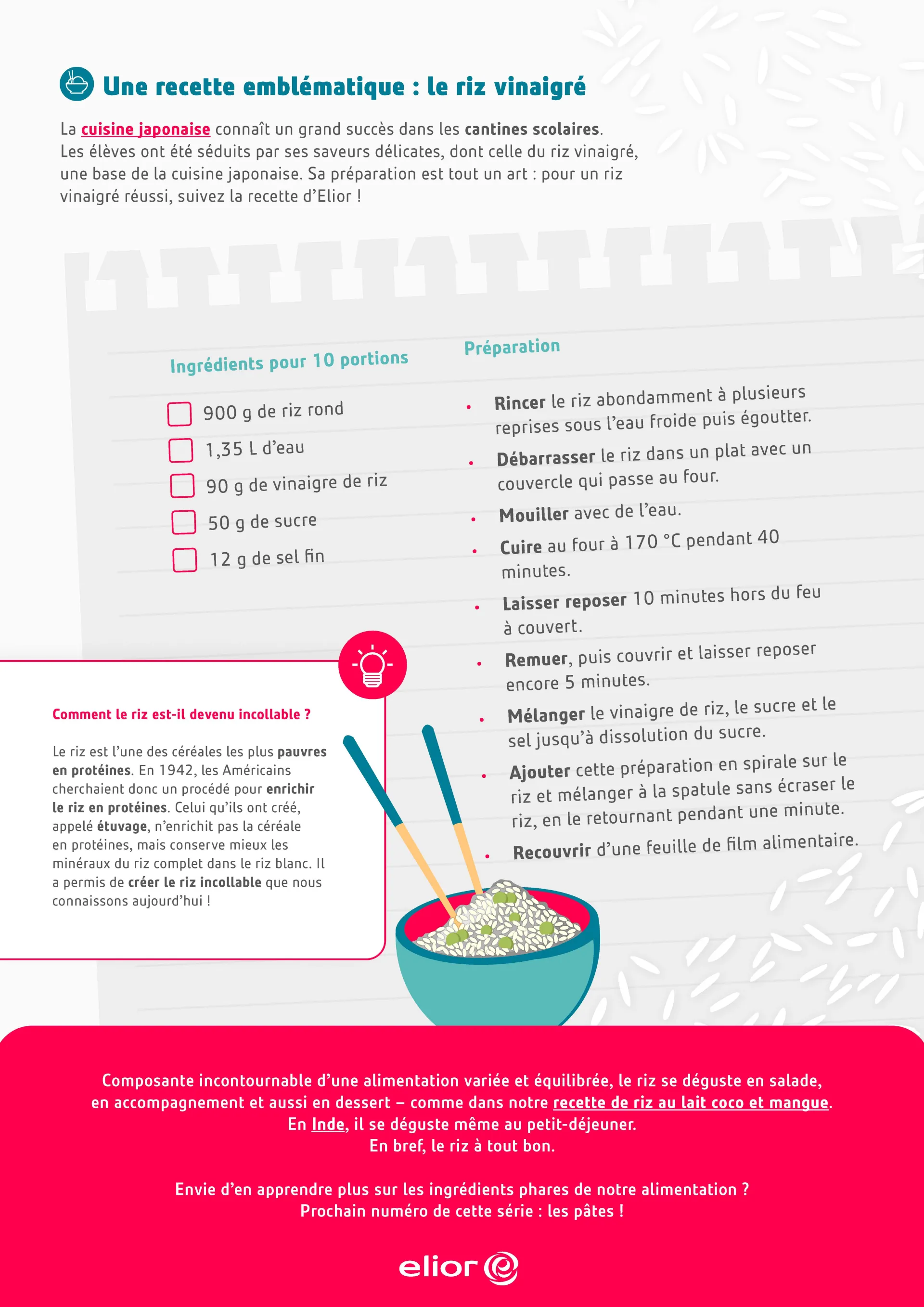 Tout savoir sur le riz