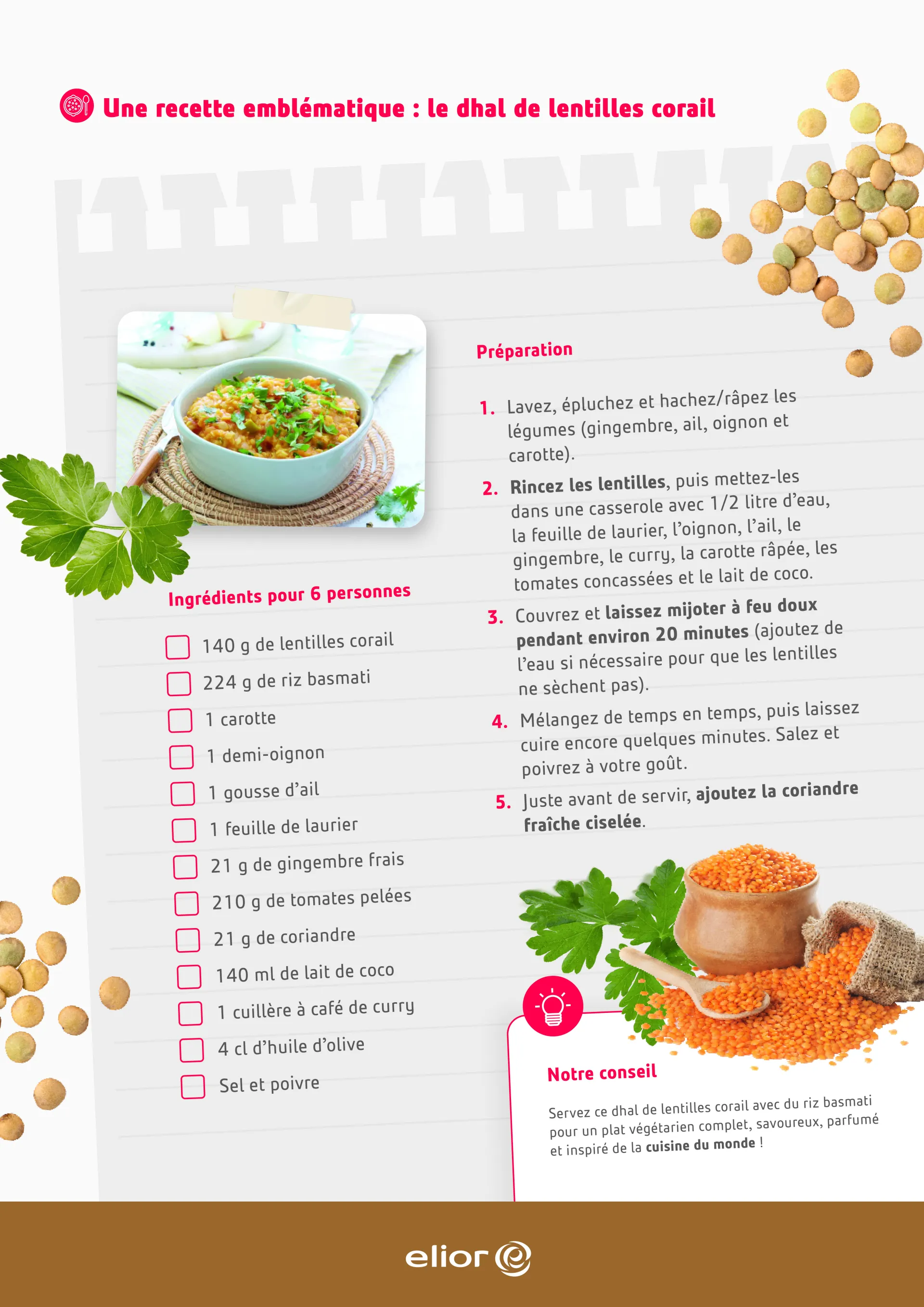 tout savoir lentille