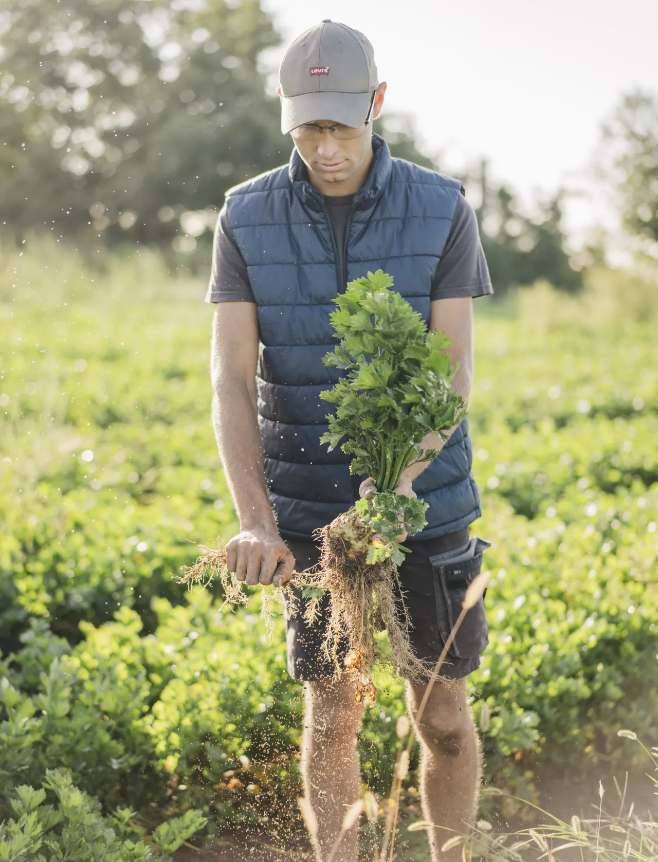 Agricultrice_pommes de terre