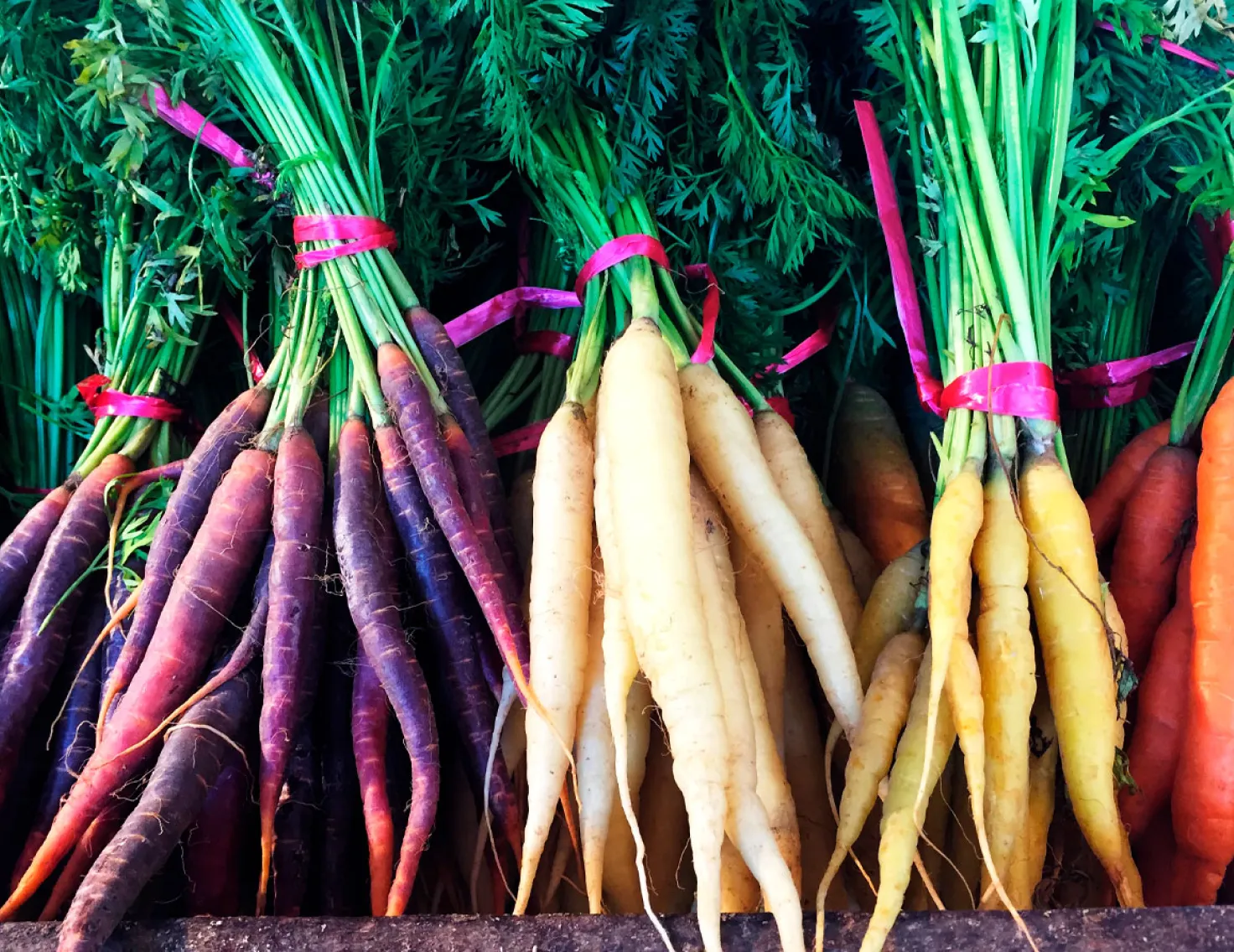 Variety of carrots