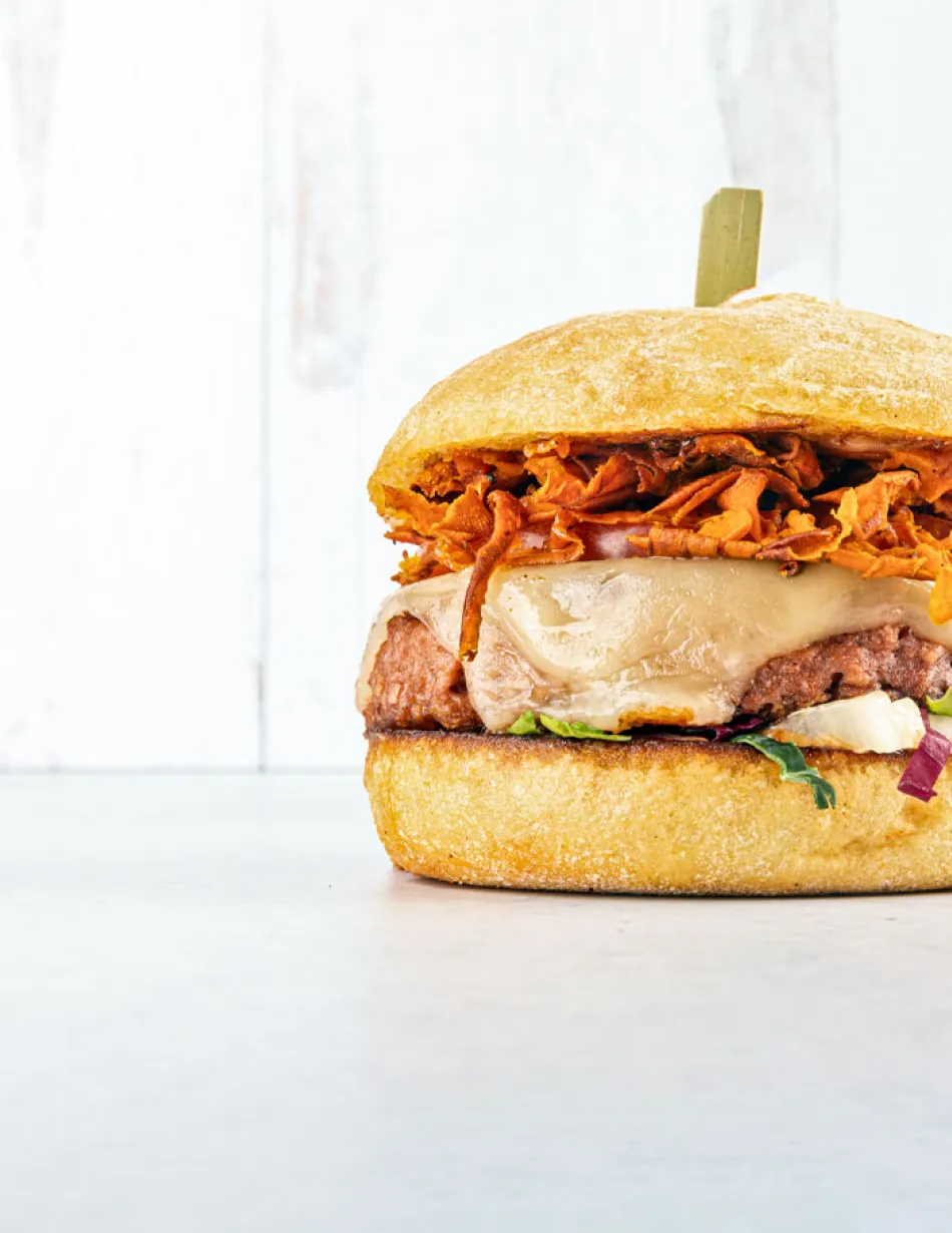 Rescue Recipe Carrot Veggie Burger