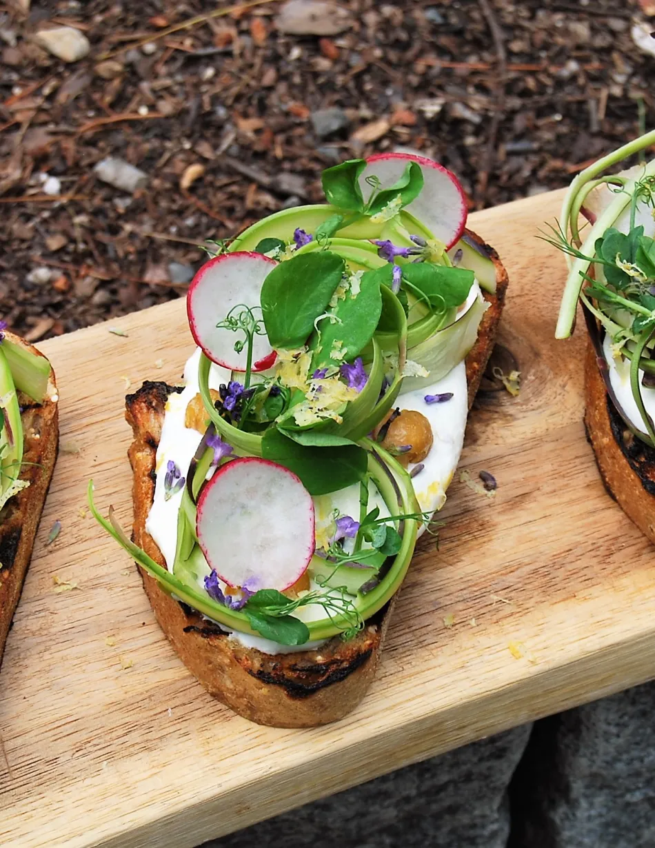 Whipped Ricotta Toast
