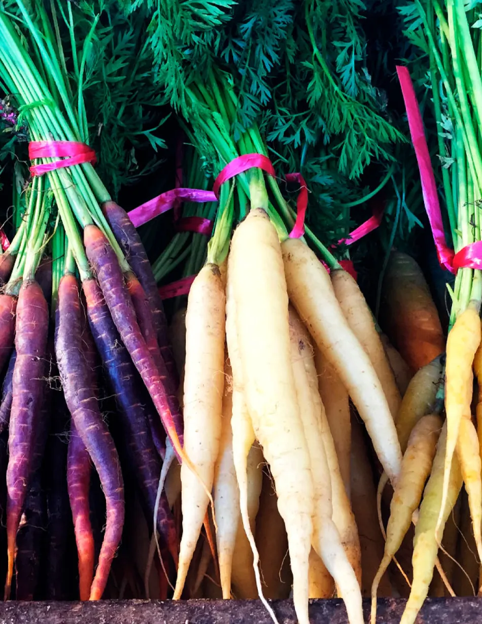 Variety of carrots