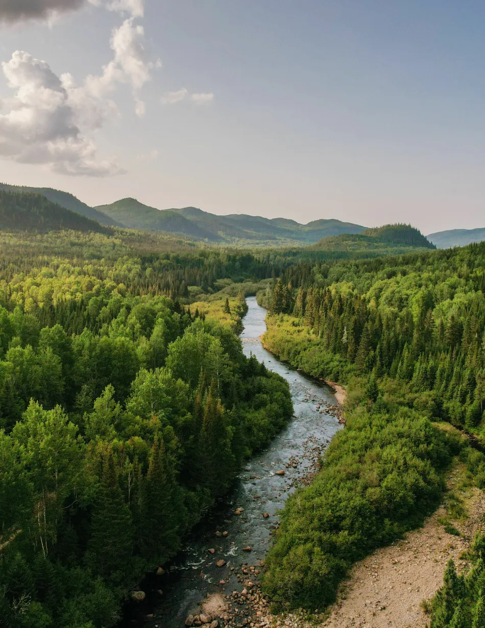 River running though a forest with mountains and skyline in background