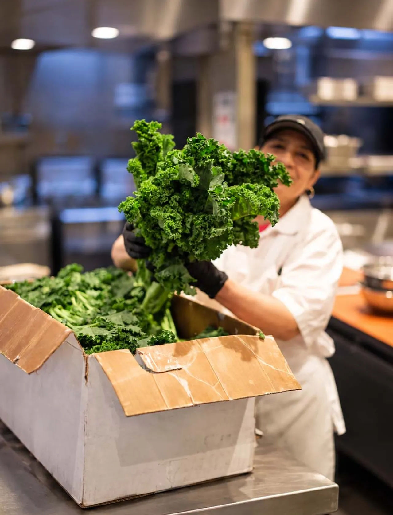 Elior North America culinary team member handling fresh kale in a commercial kitchen, highlighting a commitment to sustainable ingredients and responsible food sourcing.
